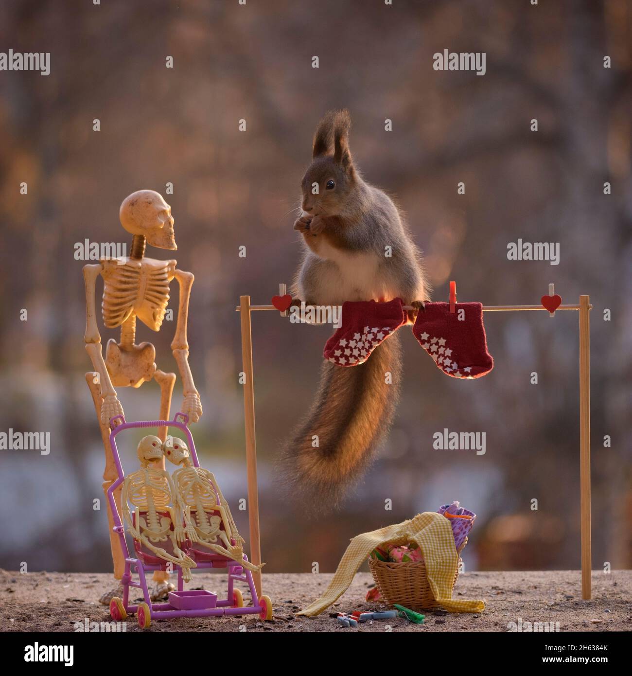 skeleton and red squirrel with an washing line Stock Photo