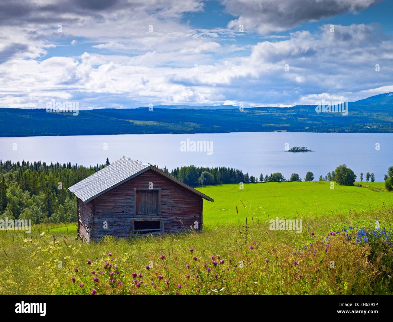 europe,sweden,jämtland province,landscape on the bank of kallsjön ...