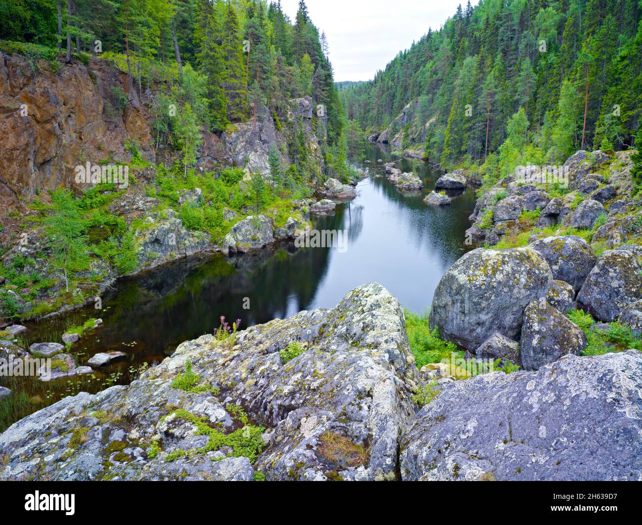 europe,sweden,jämtland province,dödafallet (the dead waterfall) near ragunda Stock Photo