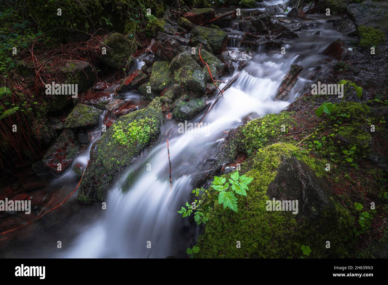 watercourse in the black forest,burgbach waterfall Stock Photo