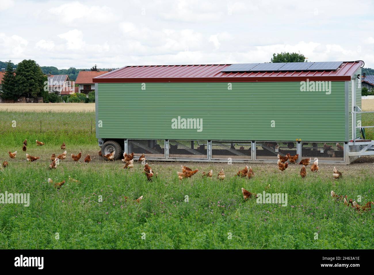 germany,bavaria,upper bavaria,altöttting district,agriculture,meadow,mobile henhouse,free-range chickens Stock Photo