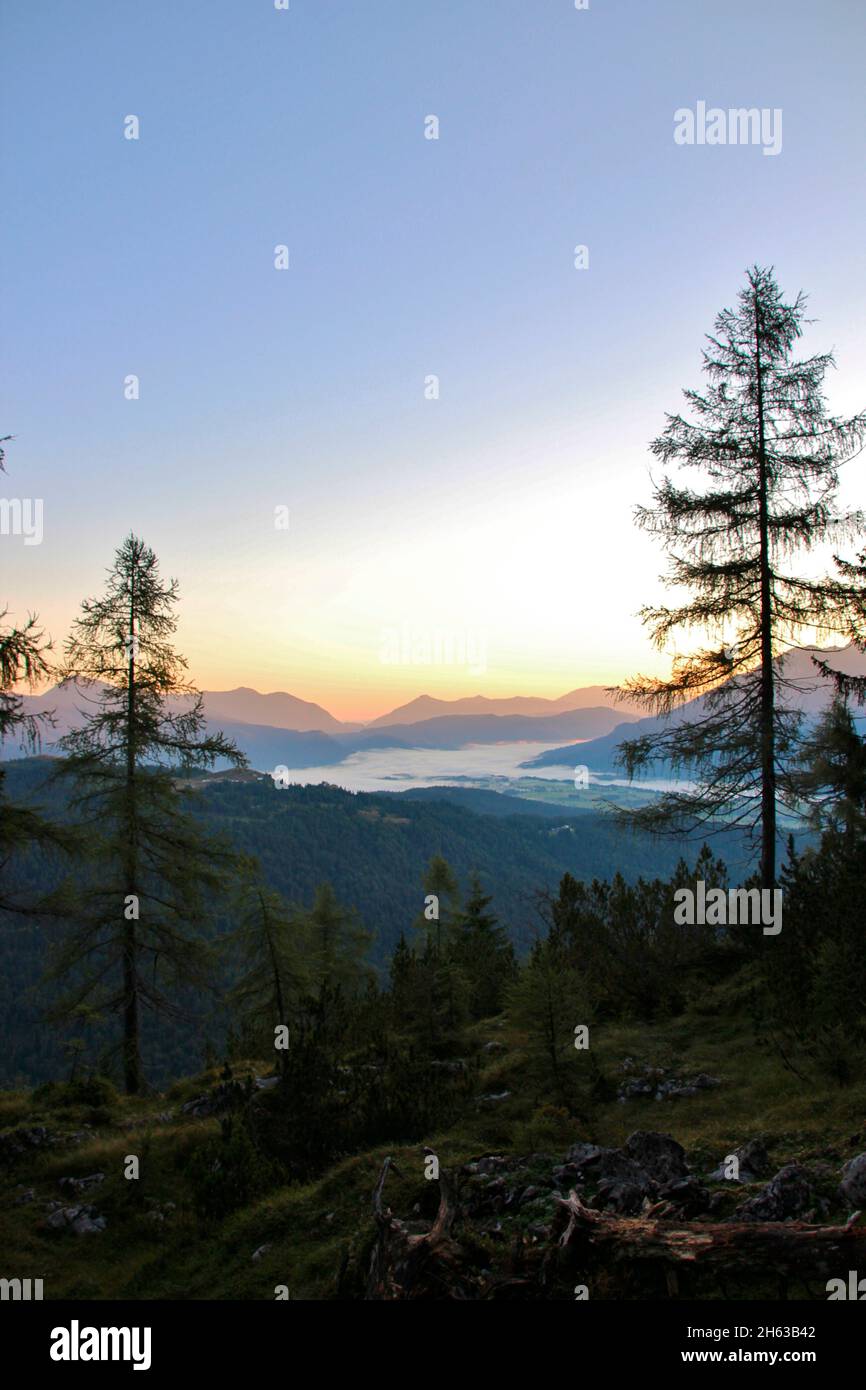 in the morning dew we move to the mountains,morning hike to the grünkopf,europe,germany,bavaria,upper bavaria,werdenfelser land,isar valley,mittenwald Stock Photo