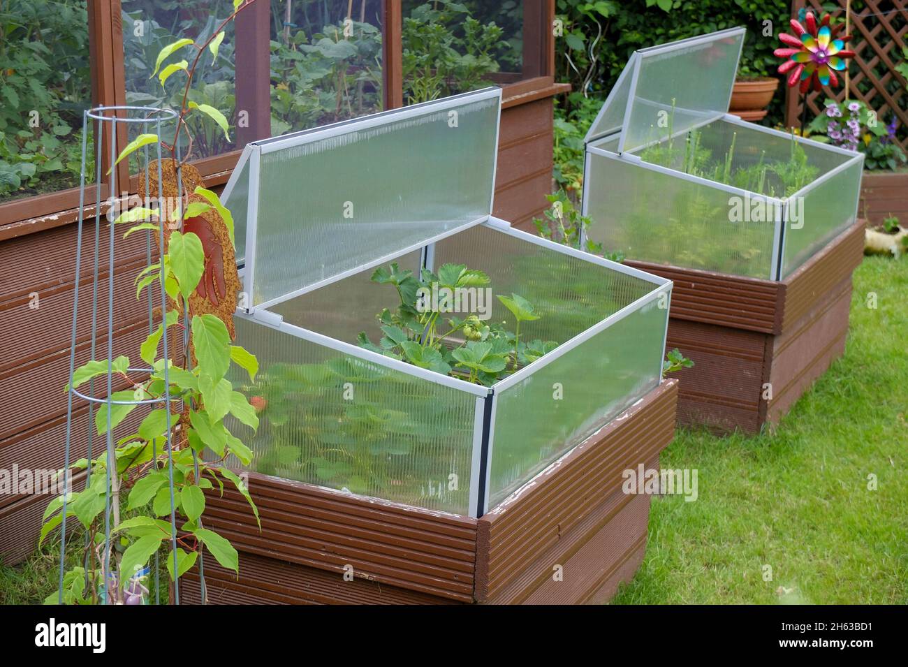 cold frame (attachment) on the raised bed,with strawberries Stock Photo