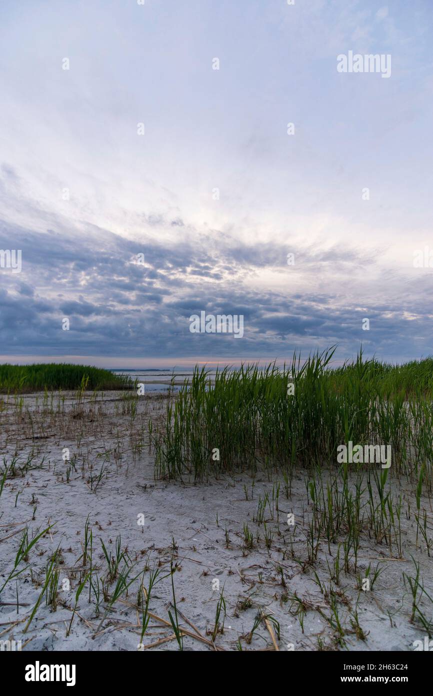 sea view of the baltic sea at stein beach,germany. Stock Photo