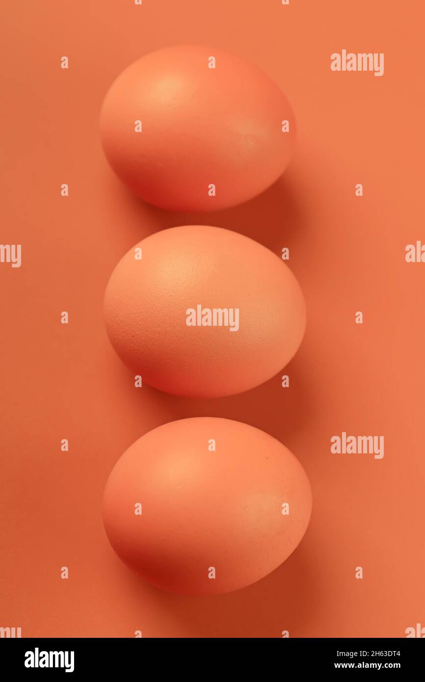 chicken egg on a beige background. Three brown eggs. Easter minimalistic concept. Stock Photo