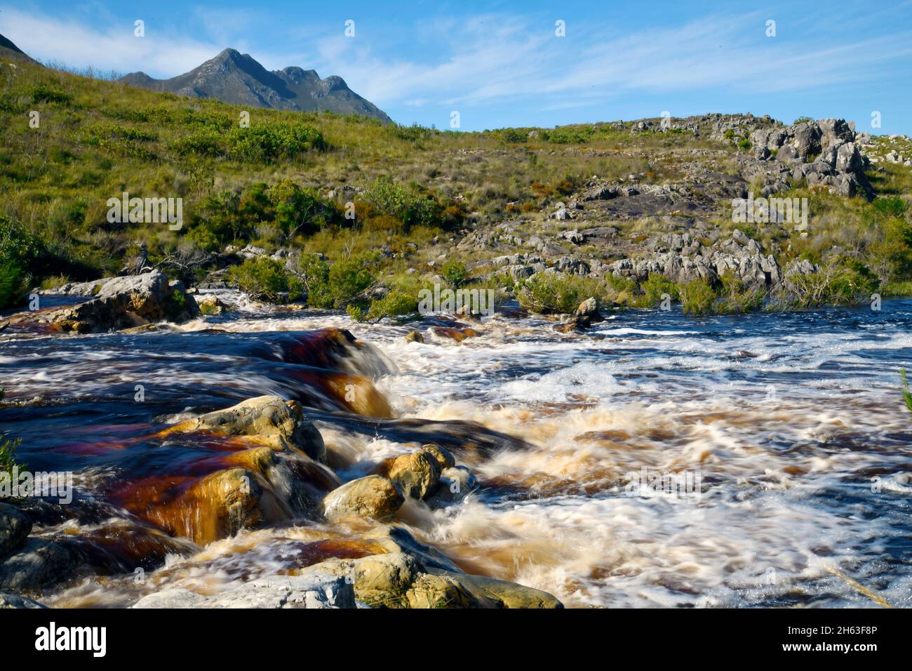 mountain stream flowing over rocky cascades in southern cape,south africa. Stock Photo