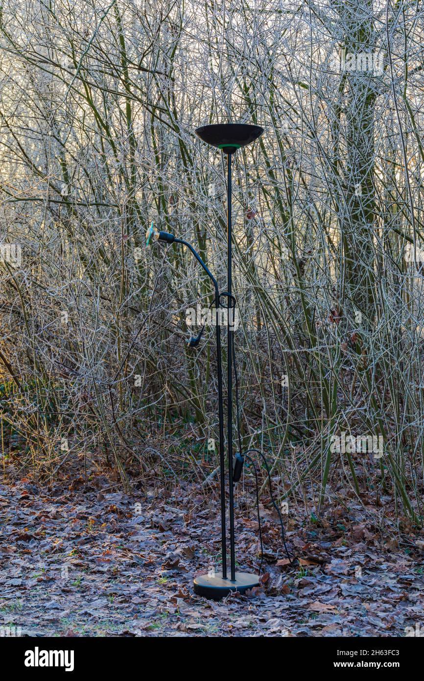 single lamp disposed of in the forest,environmental pollution Stock Photo