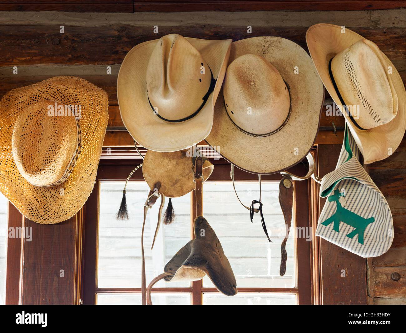 american west,dude ranch,games,leisure,recreation,riding artifacts,usa,wyoming,bighorn mountains,eaton ranch,four white hats Stock Photo