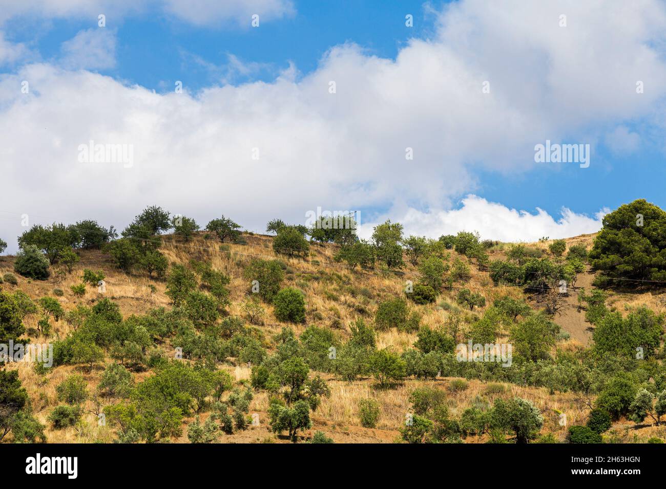 some green hills and big clouds up above in andalusia,spain Stock Photo