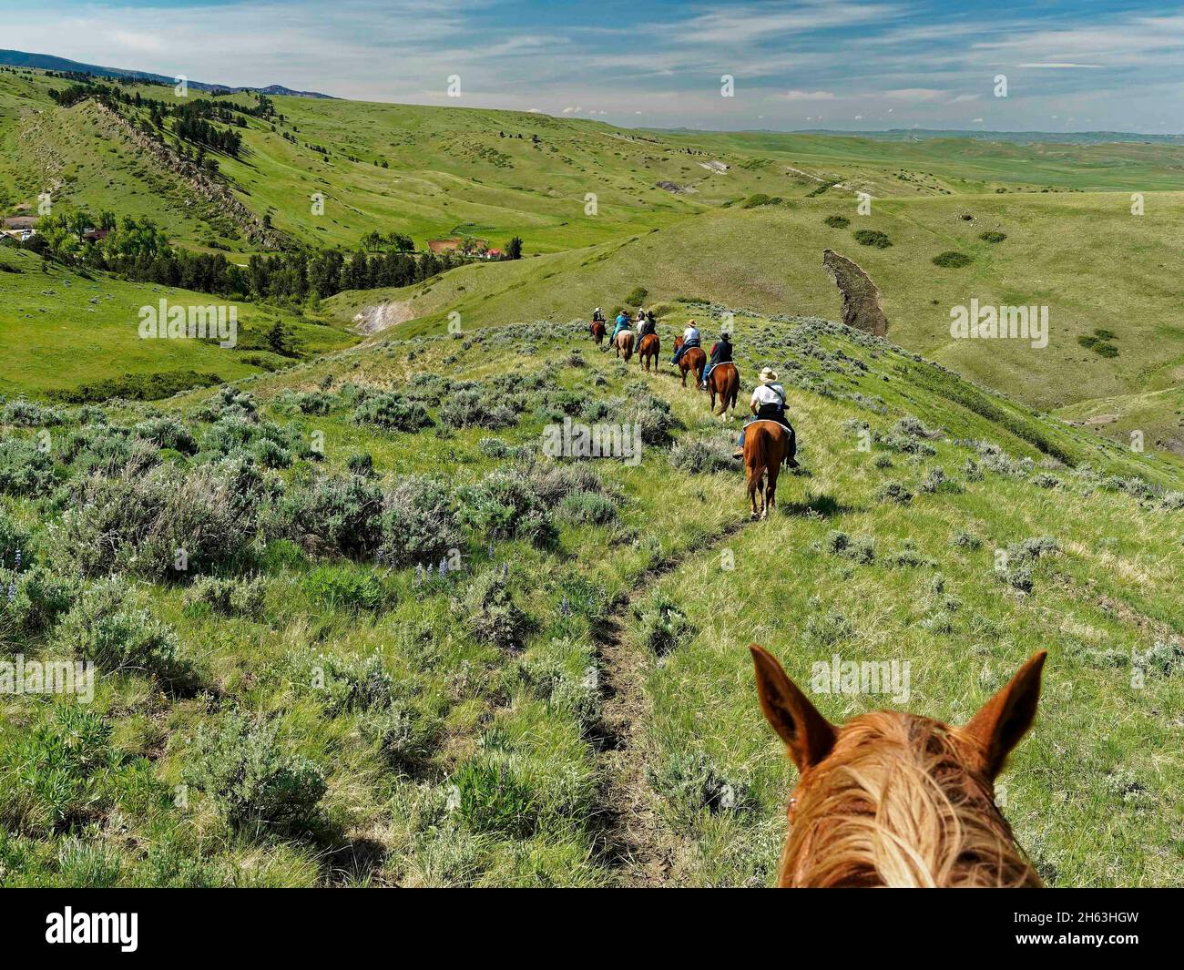 american west,dude ranch,(rider's view) trail ride,exploring,leisure,mountain vista,recreation,soft adventure,trail ride,usa,wyoming,bighorn mountains,eaton ranch Stock Photo