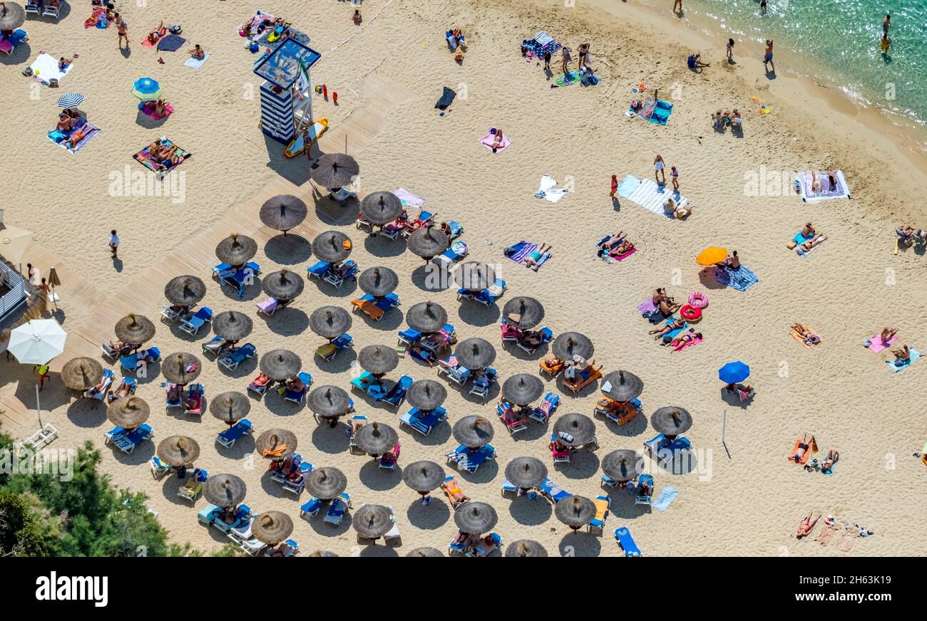 aerial view,sunbathing on the sandy beach platja de s'oratori in portals nous,calvià,mallorca,balearic islands,spain Stock Photo