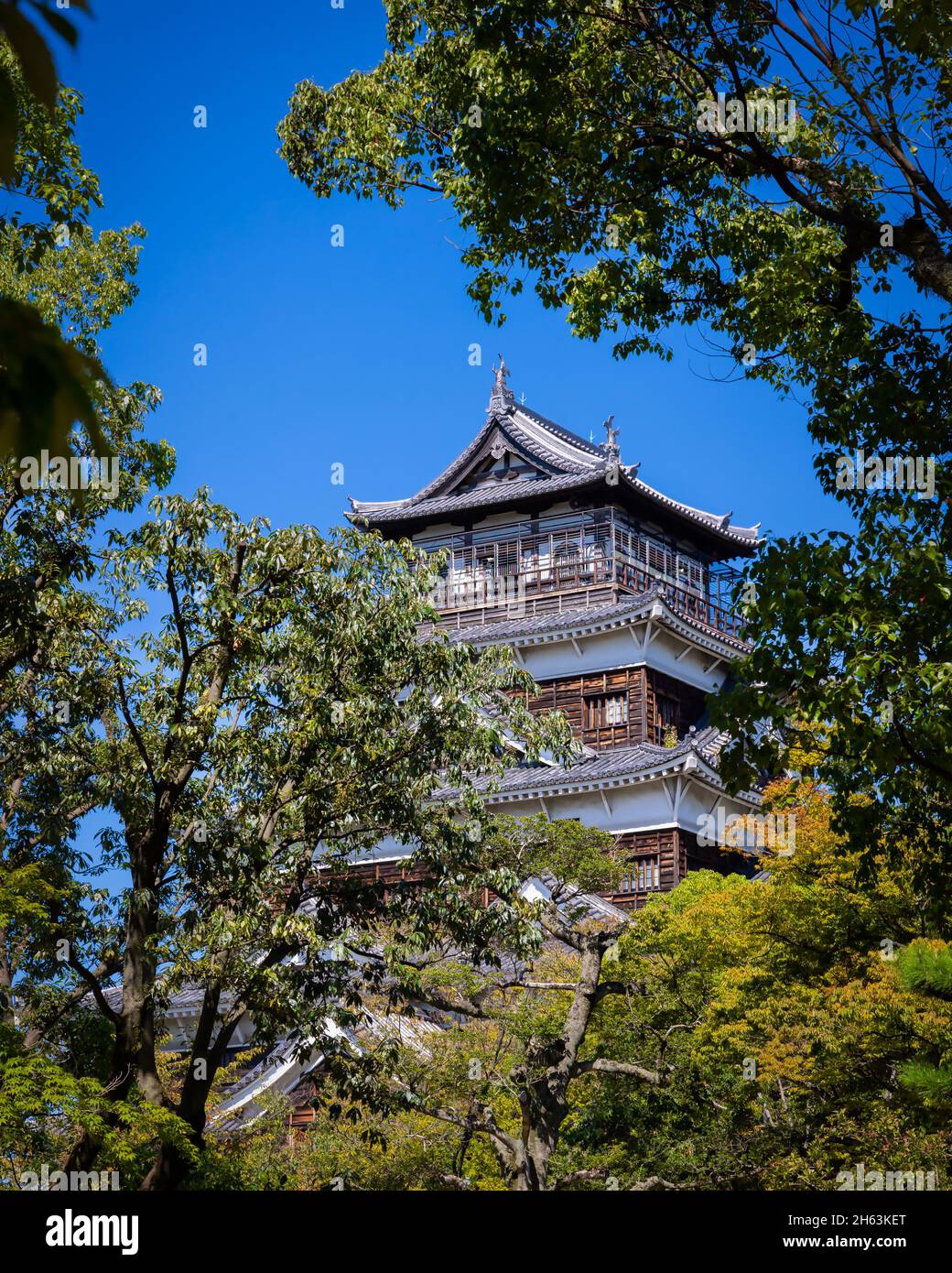 Looking through the trees at the Hiroshima Castle, the original was destroyed by the 1945 atomic bombing and this 16th century replica was built in 19 Stock Photo