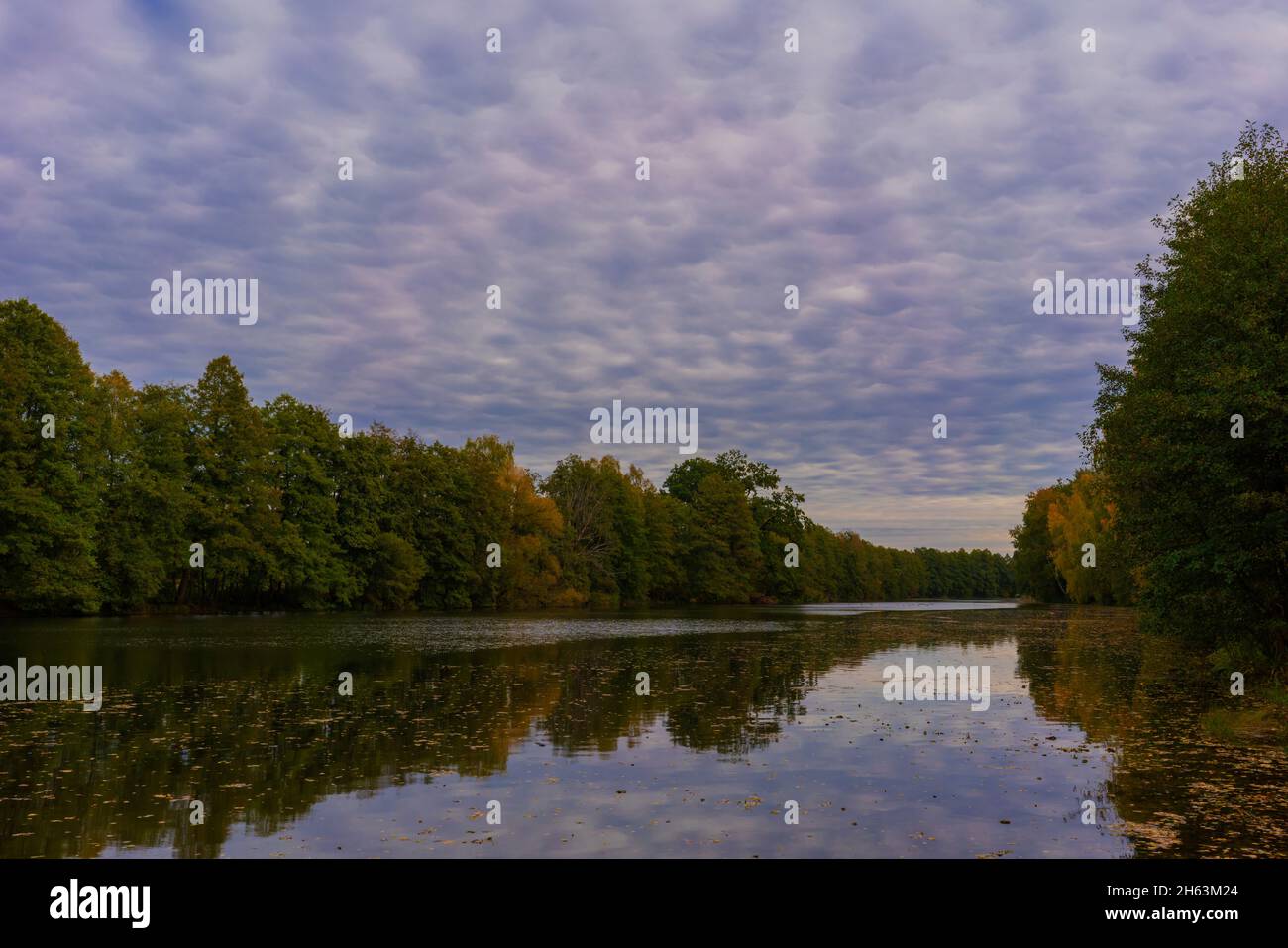 small village lake in autumn,first discolored leaves on the trees,autumn colors Stock Photo