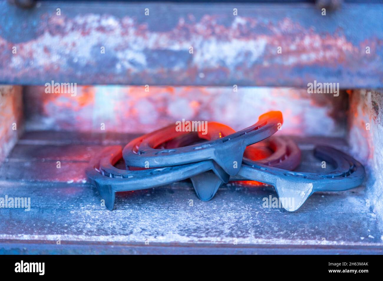 farrier at work Stock Photo Alamy