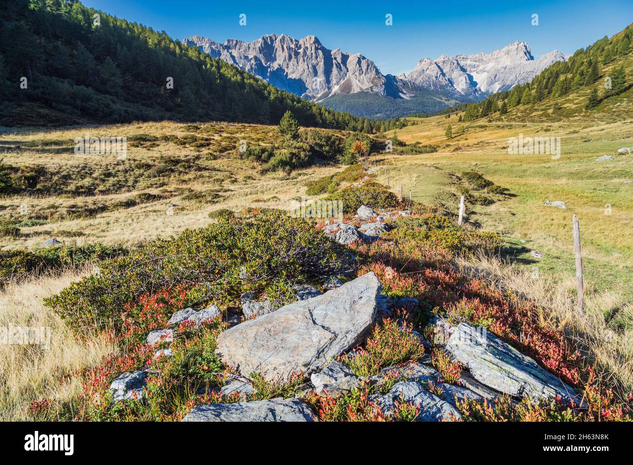 view of vallorera on the border between veneto and south tyrol,in background sexten dolomites,italy Stock Photo