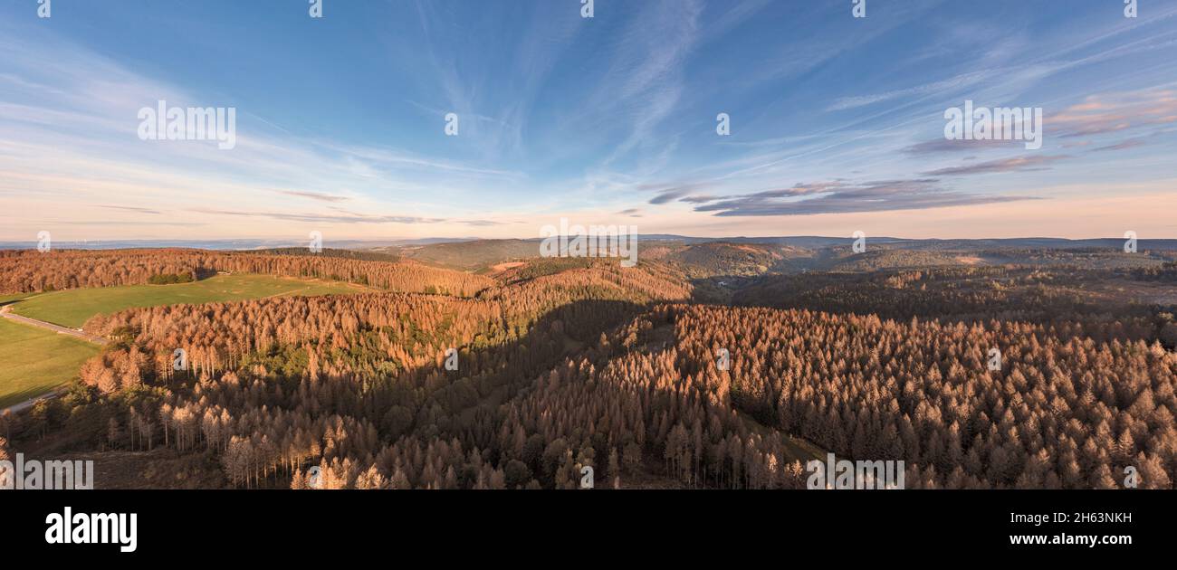 germany,thuringia,masserberg,heubach,mountains,valleys,large areas of dead trees,rennsteig environment,overview,aerial photo,morning light,panorama Stock Photo