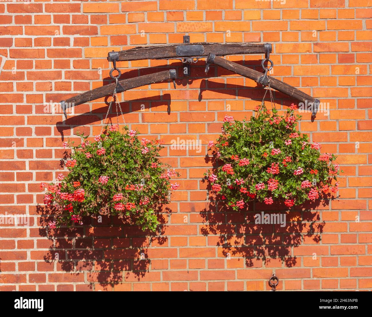 flowers on a farmhouse in the bremen blockland,bremen,germany,europe