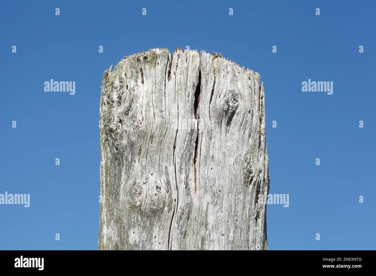 wooden peg at a jetty,blue sky,germany Stock Photo