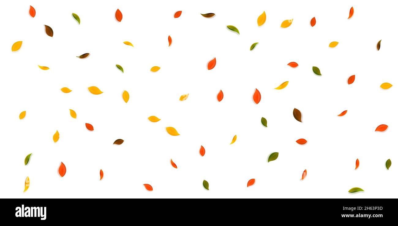 Falling autumn leaves. Red, yellow, green, brown random leaves flying ...