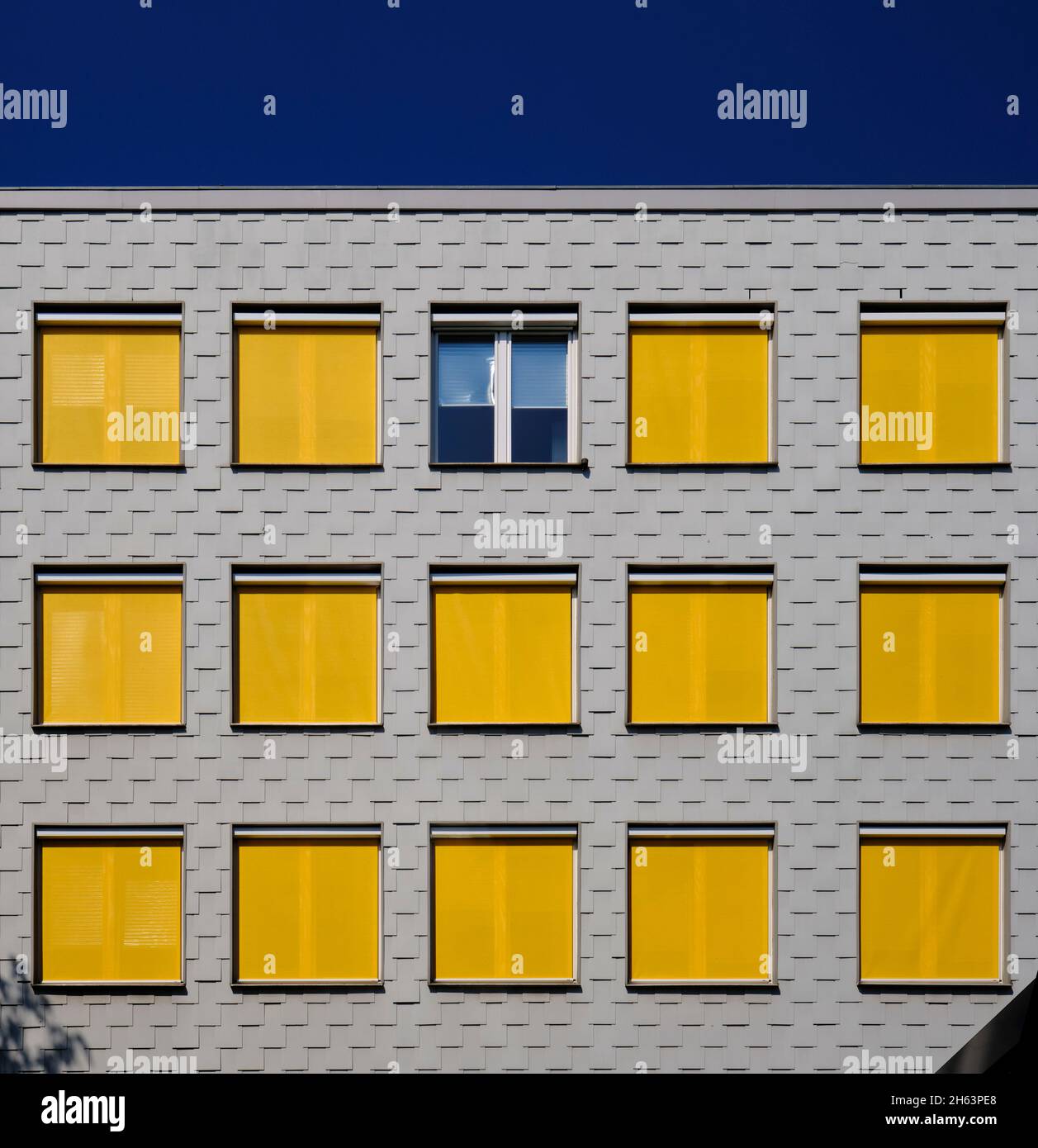 administration building with yellow blinds Stock Photo