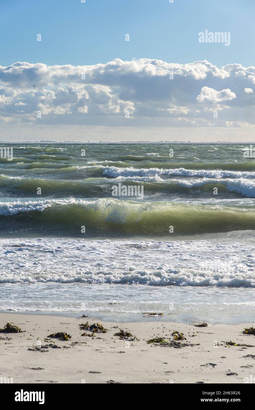 moderate surf with partly cloudy skies on the north sea beach near neeltje jans. Stock Photo