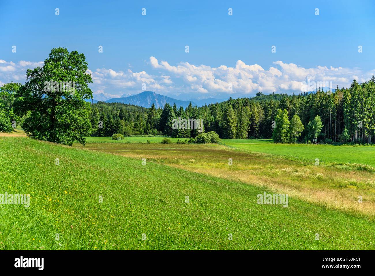 District kreutberg hi-res stock photography and images - Alamy