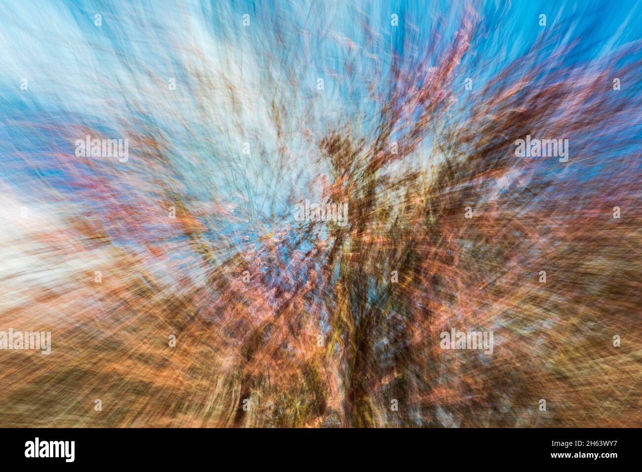 blurred,blurred forest due to motion blur Stock Photo