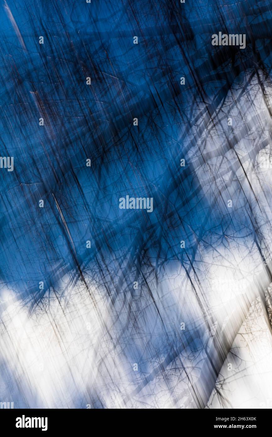 blurred,blurred forest due to motion blur Stock Photo