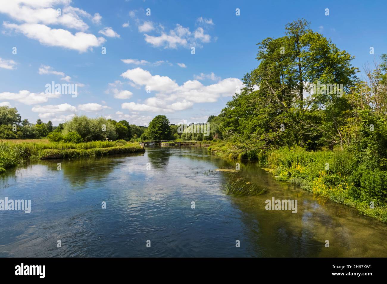 england,hampshire,test valley,stockbridge,longstock,leckford estate
