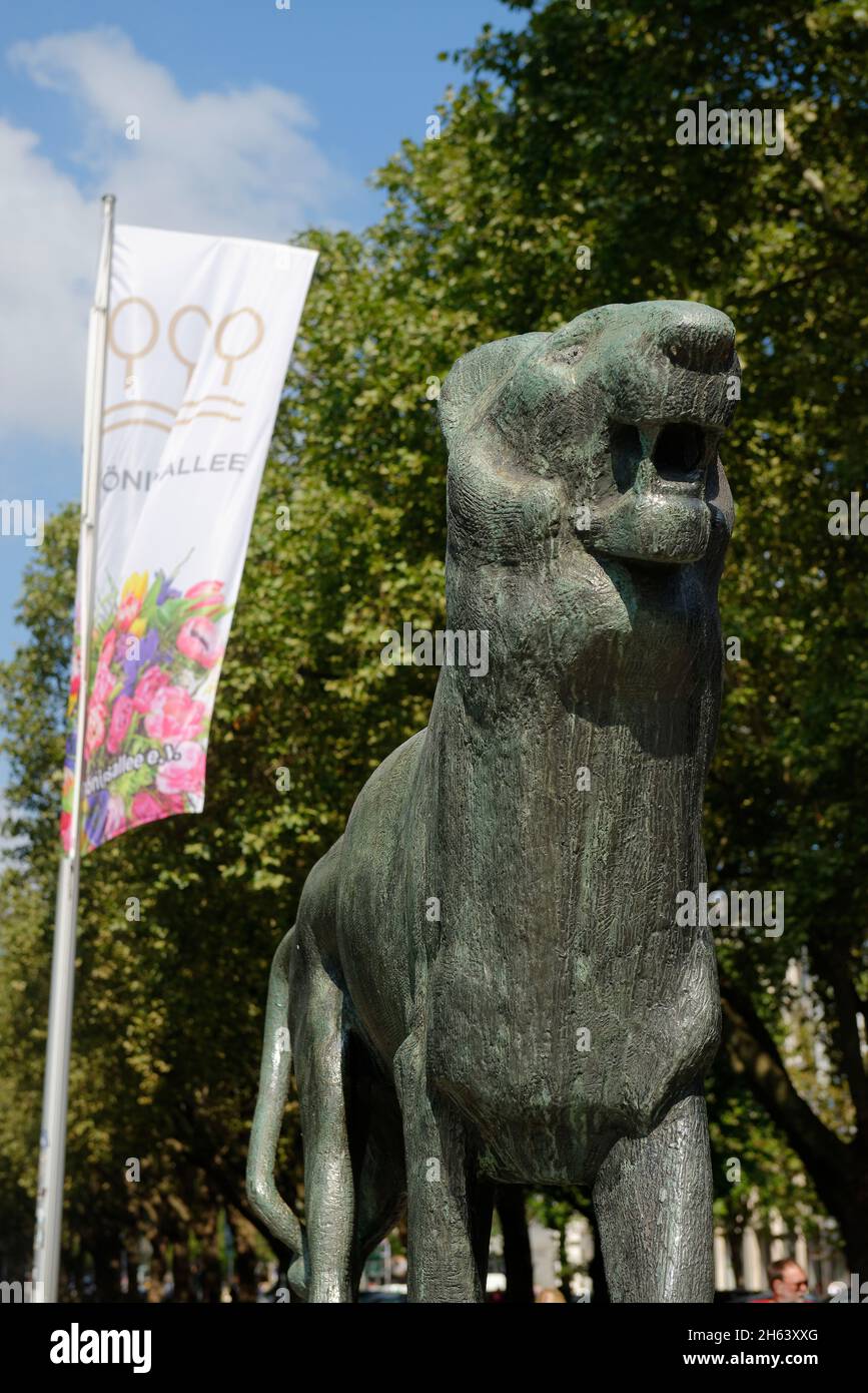 lion sculpture on the kö,koenigsallee,düsseldorf am rhein,north rhine-westphalia,germany Stock Photo