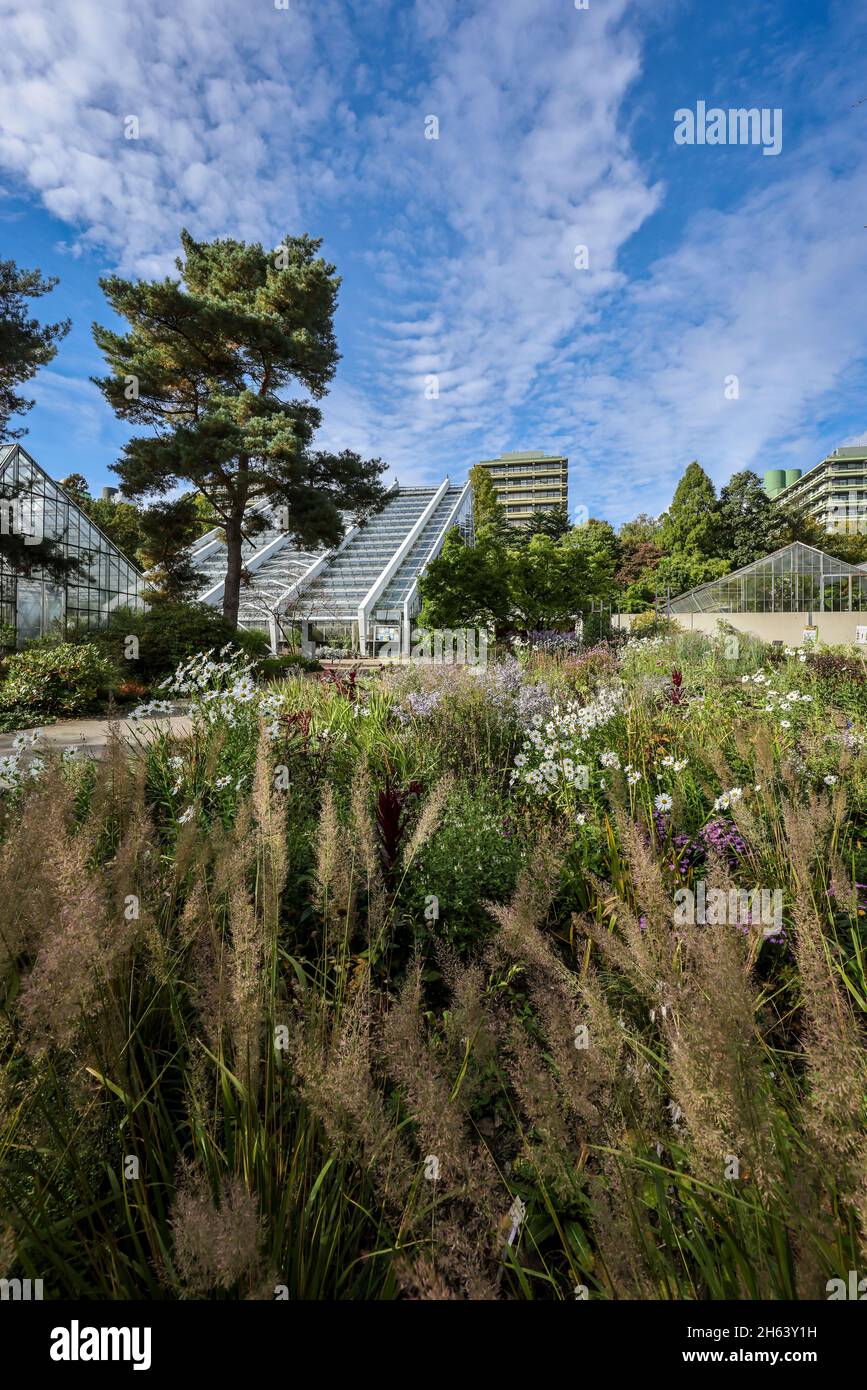 bochum,north rhinewestphalia,germany blooming flowers in the flowerbed in front of tropenhaus