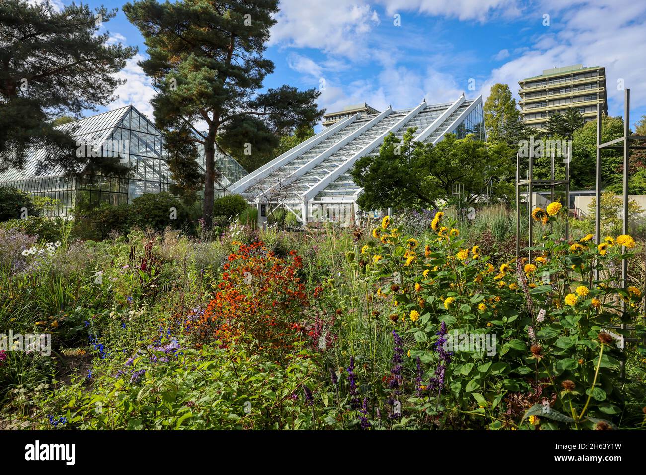 bochum,north rhinewestphalia,germany blooming flowers in the flowerbed in front of tropenhaus