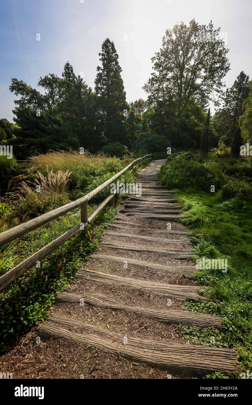 essen,north rhine-westphalia,germany - path with wooden planks in the heide moor,a park in essen that was created from the first large ruhrland horticultural exhibition in 1929,was the park area of the federal horticultural show in 1965. Stock Photo