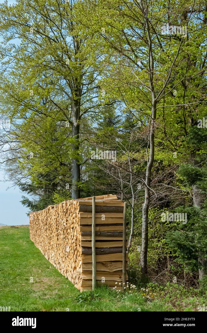 germany,baden-wuerttemberg,durbach,pile of wood,firewood,timber,heating material,logs Stock Photo