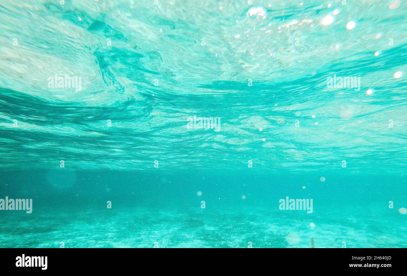 underwater view of sea or ocean with sandy beach in a sunny day of vacations outdoors Stock Photo