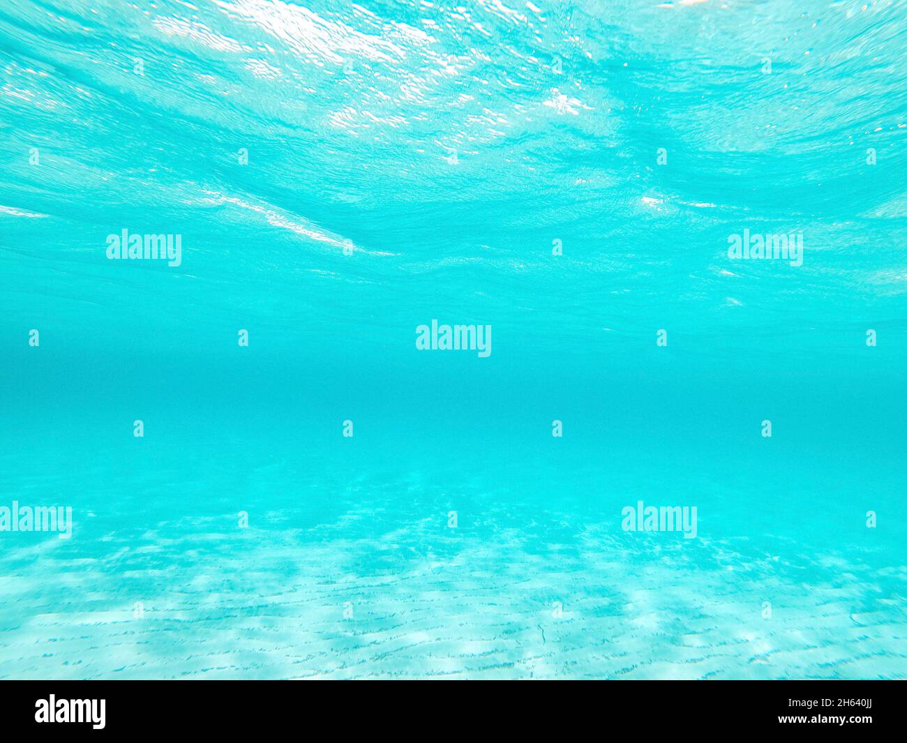 underwater view of sea or ocean with sandy beach in a sunny day of vacations outdoors Stock Photo