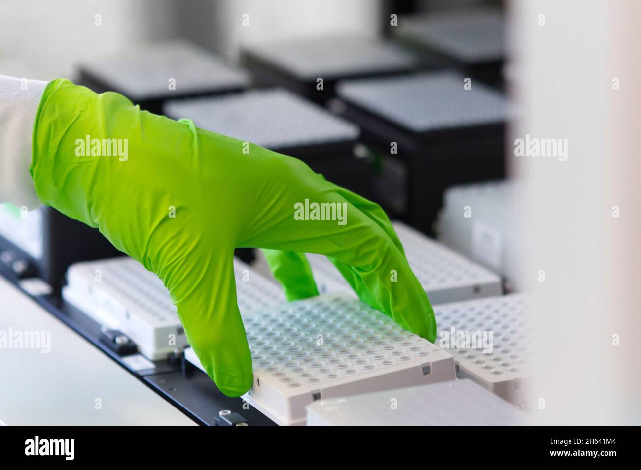 loading of robot with sample plates for covid-19 testing Stock Photo ...