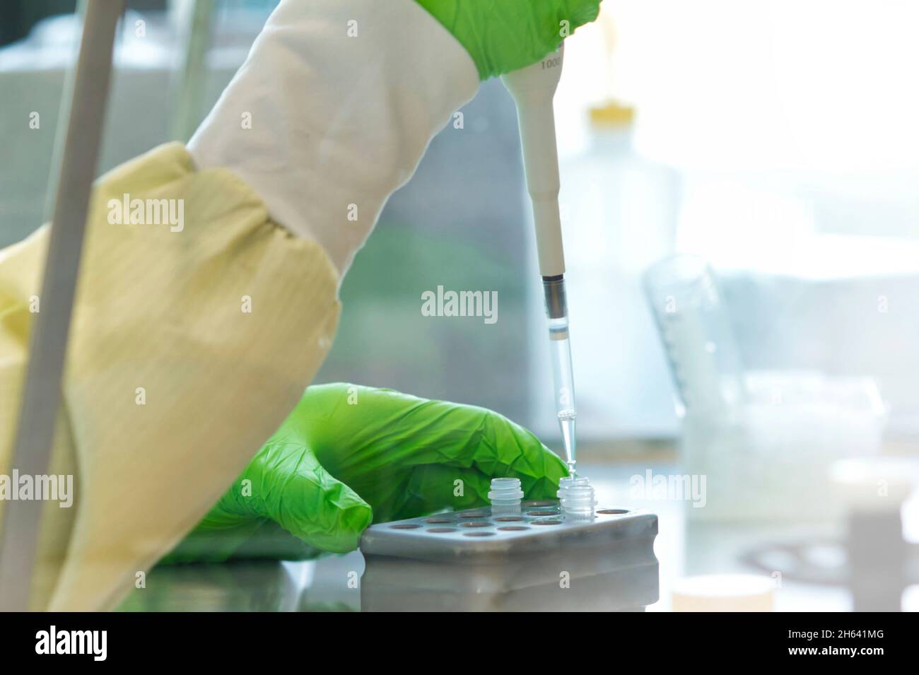 research scientist pipetting reagents to a plate Stock Photo