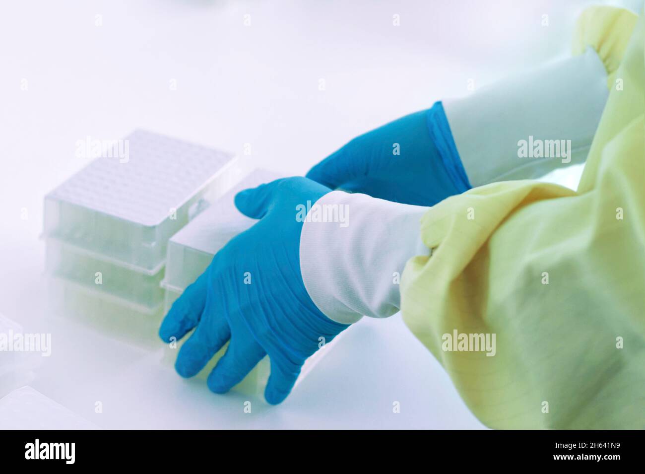 scientist transferring deep-well plates to centrifuge Stock Photo