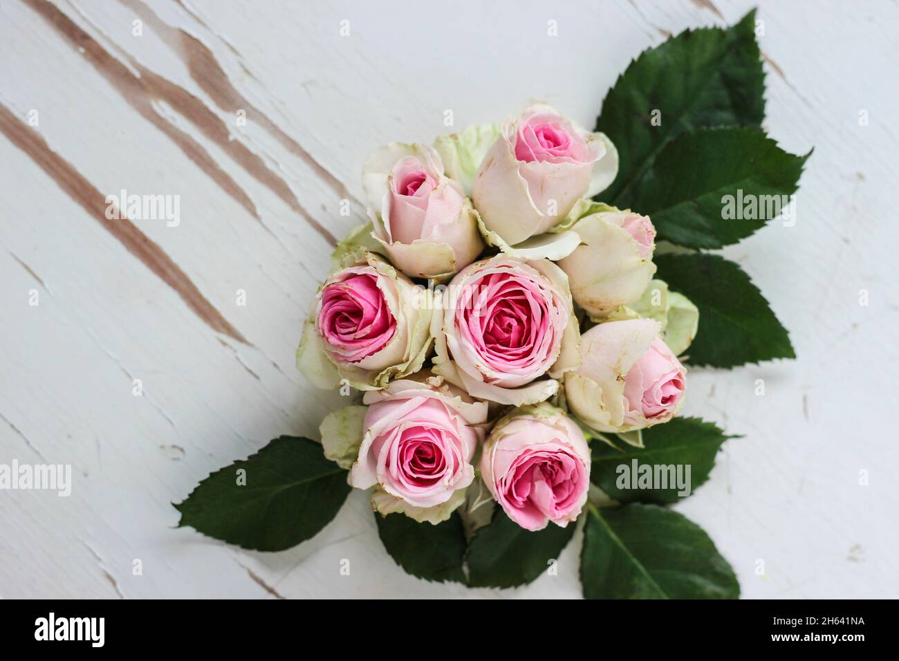 bouquet of flowers,individual flowers form one large flower Stock Photo