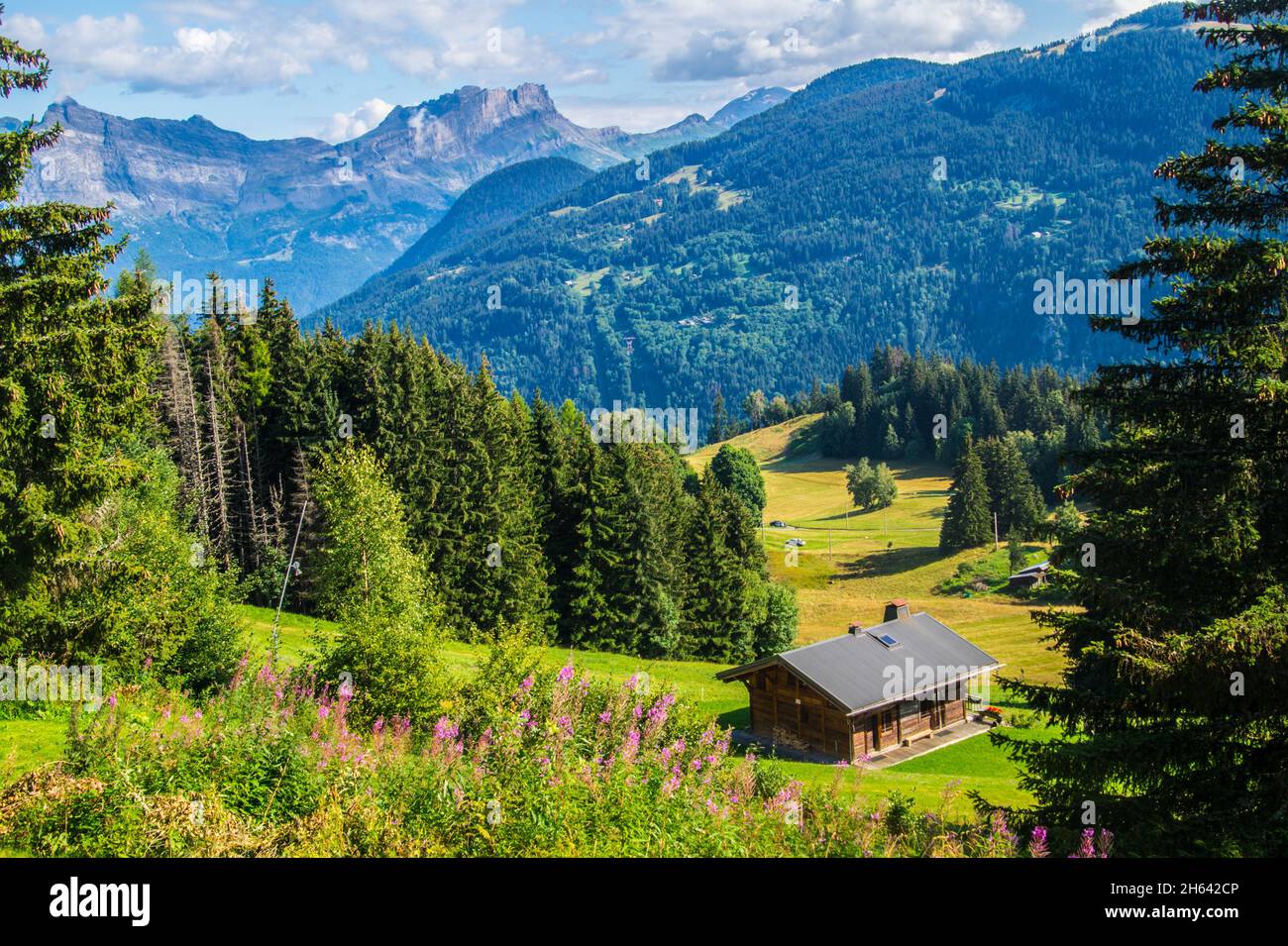 Beautiful view of the grassy hills under the cloudy blue sky in France Stock Photo