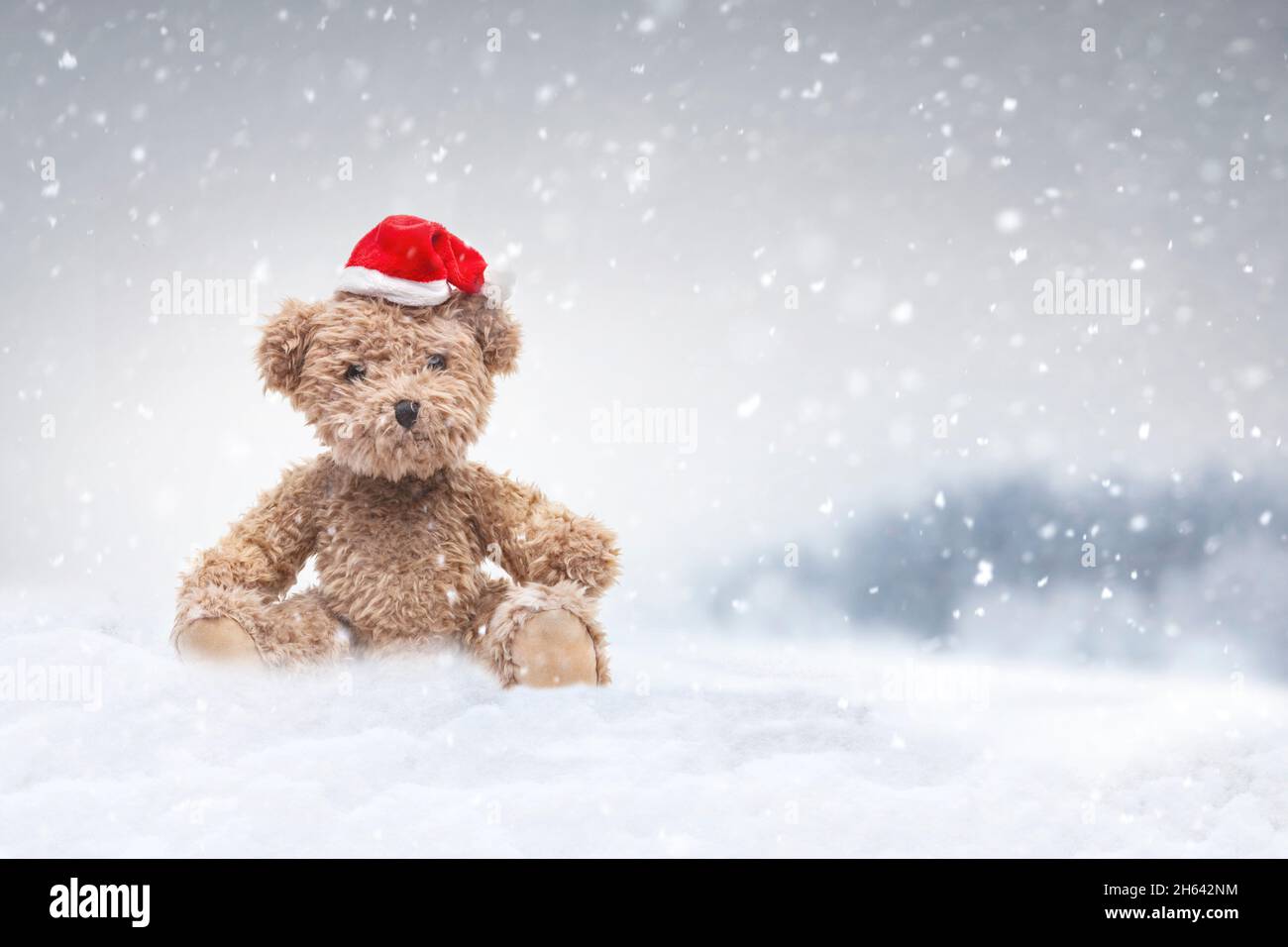 Plush Teddy Bear Hi res Stock Photography And Images Alamy plush-teddy-bear-hi-res-stock-photography-and-images-alamy