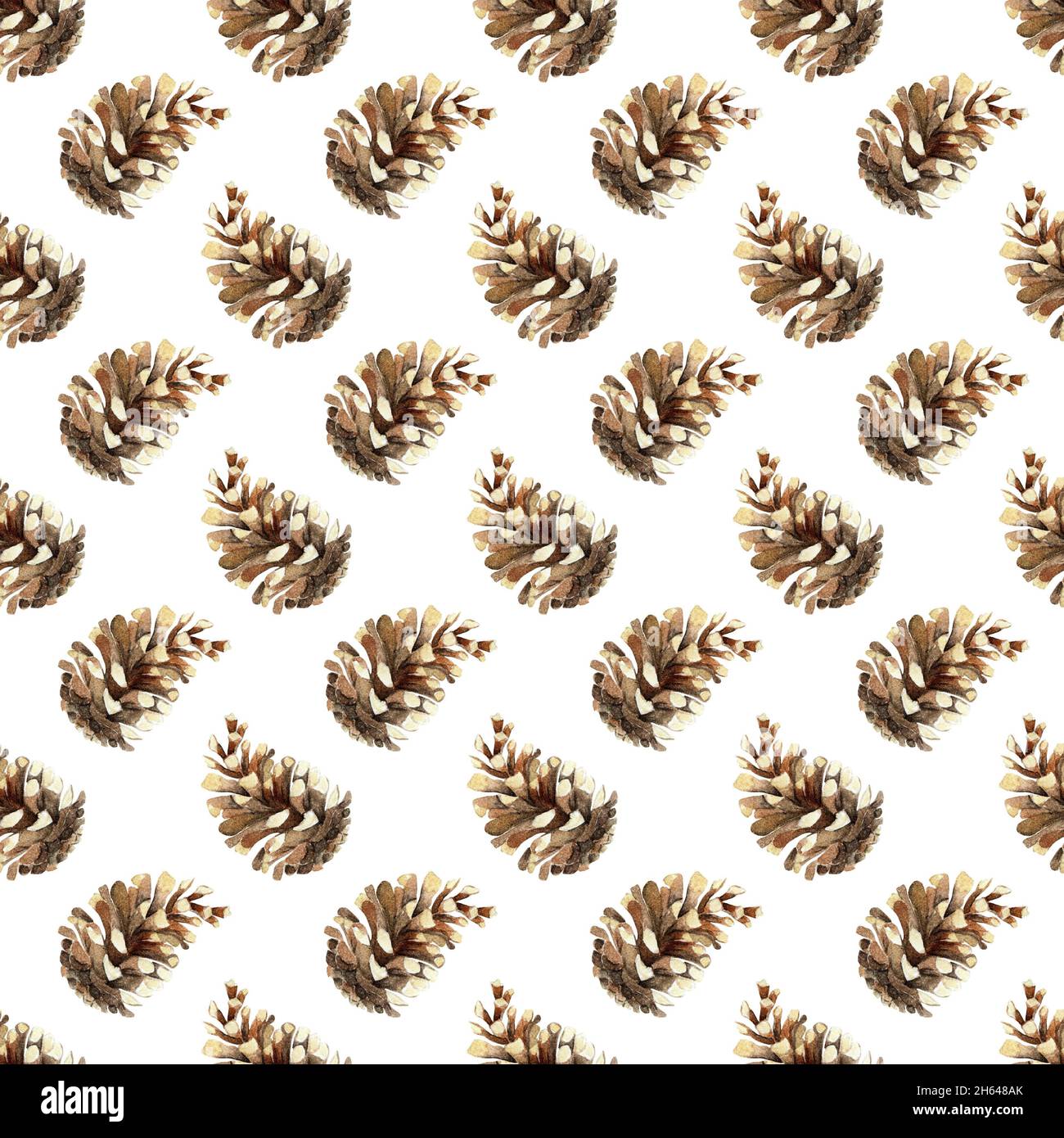 Watercolor botanical seamless pattern with pine cones. Hand painted ...