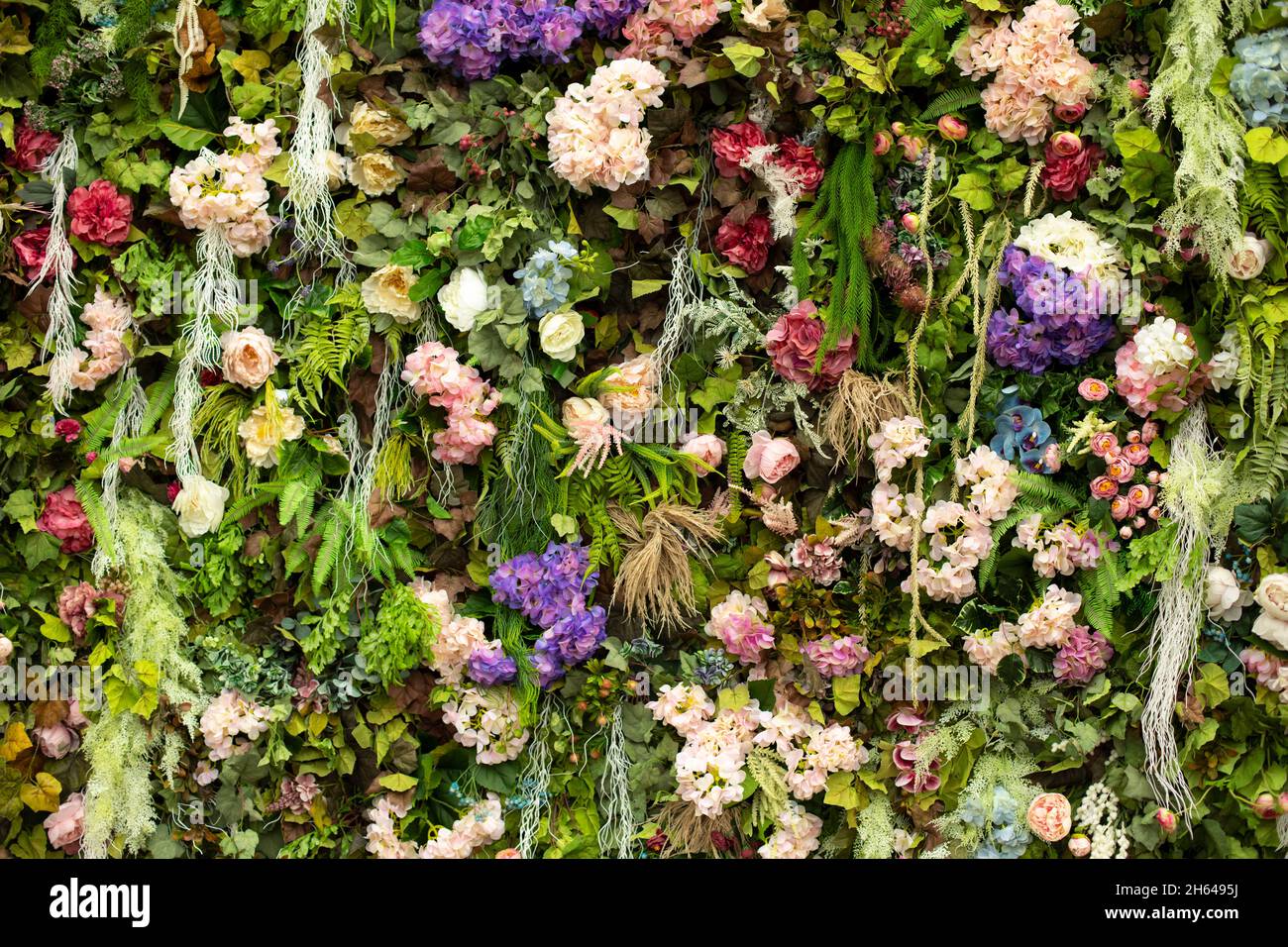 The texture of a green wall, overgrown with blooming flowers. Close-up. Greenhouse skills. Floristics. Outside shooting Stock Photo