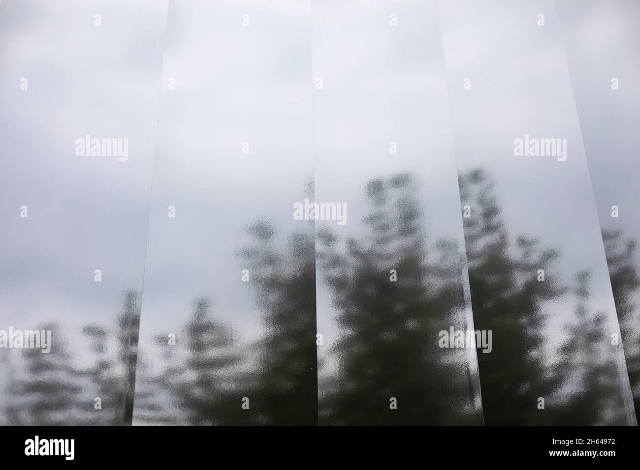 Distorted reflection of trees in the mirror. The structure of opaque