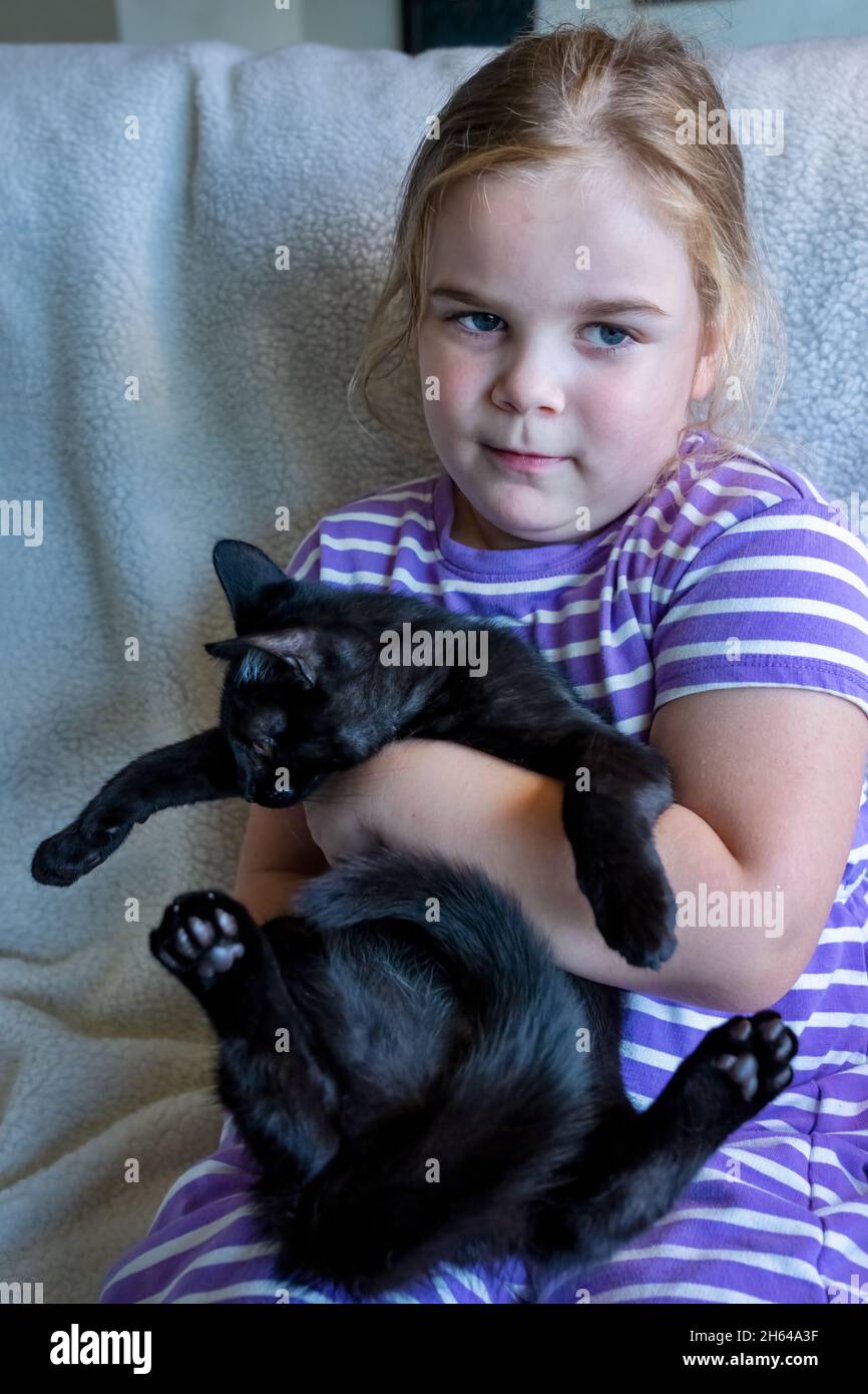 Four year old girl struggling to hold her two month old squirming kitten, Mr. Pickles (MR) (PR) Stock Photo