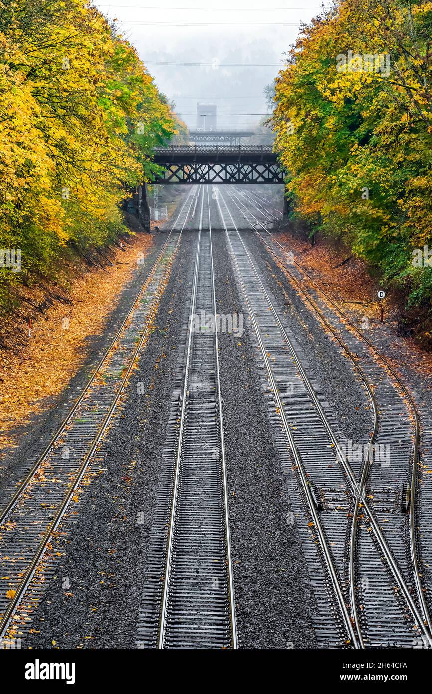 Narrow city bridge across multiline Railway road along the hills with yellow autumn trees with fallen leaves shrouded in a viscous autumn mist leading Stock Photo