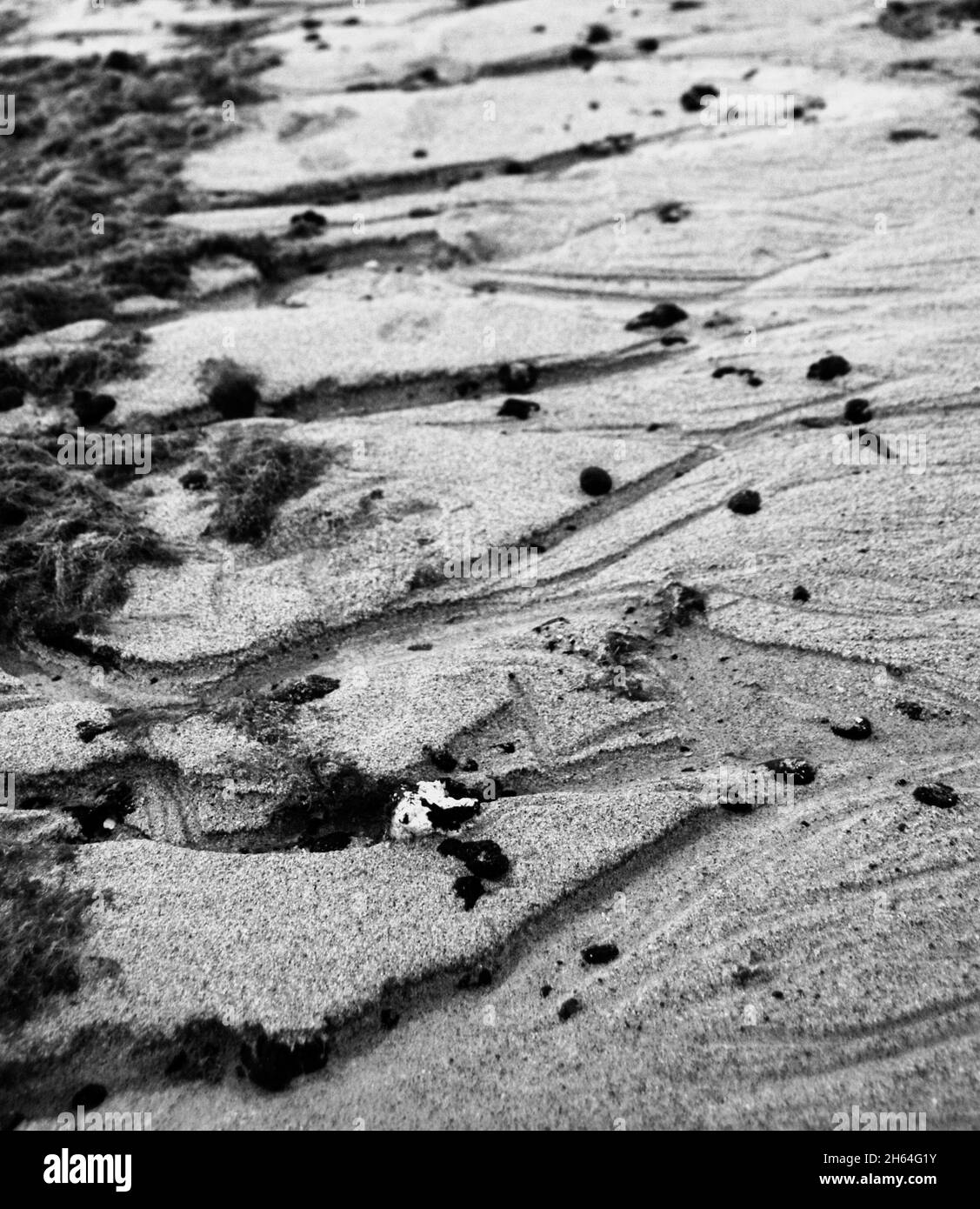 Vertical grayscale shot of a bumpy field with bushes Stock Photo - Alamy