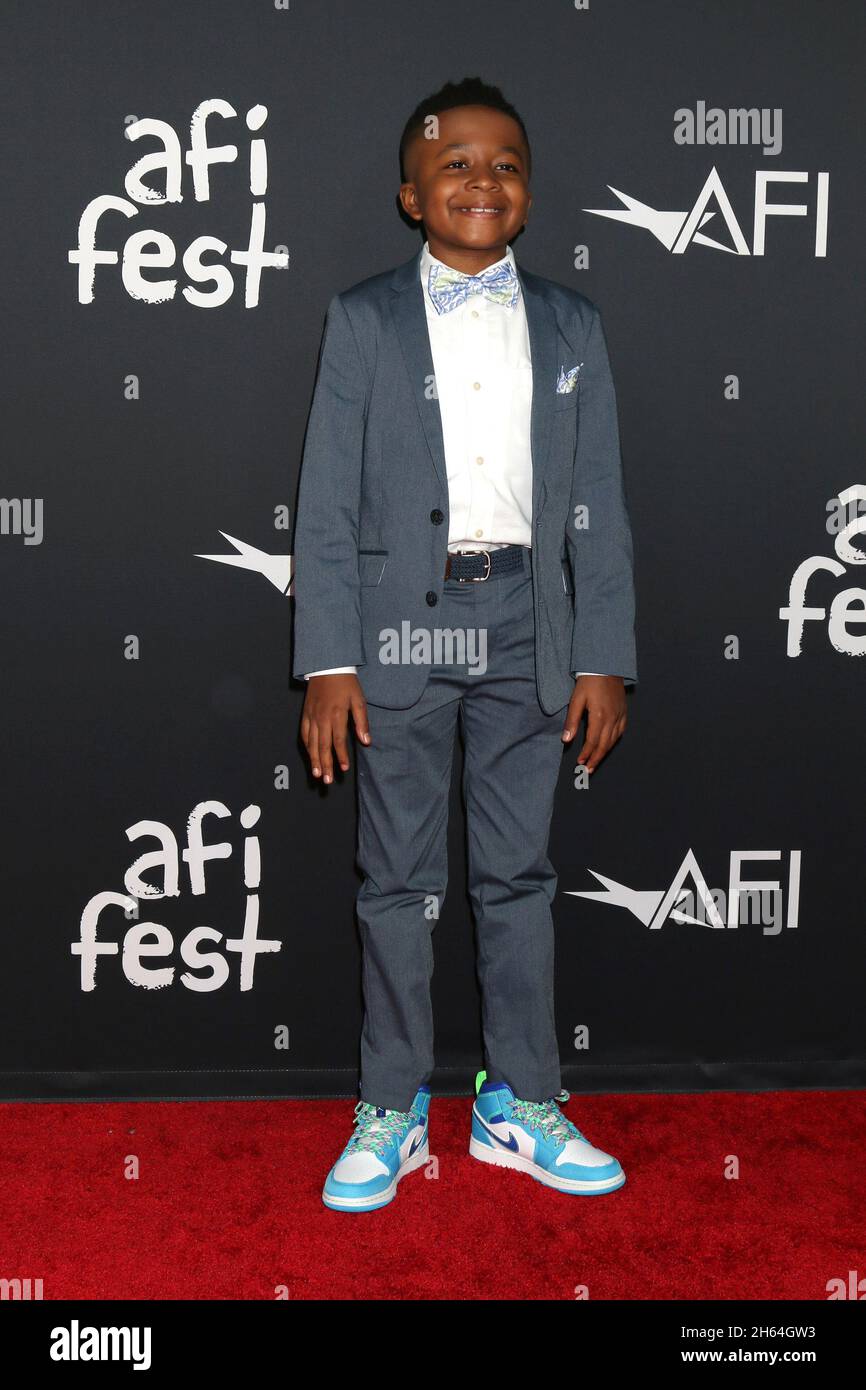 LOS ANGELES - NOV 12: Dax Rey at the AFI Fest - Swan Song Premiere at ...