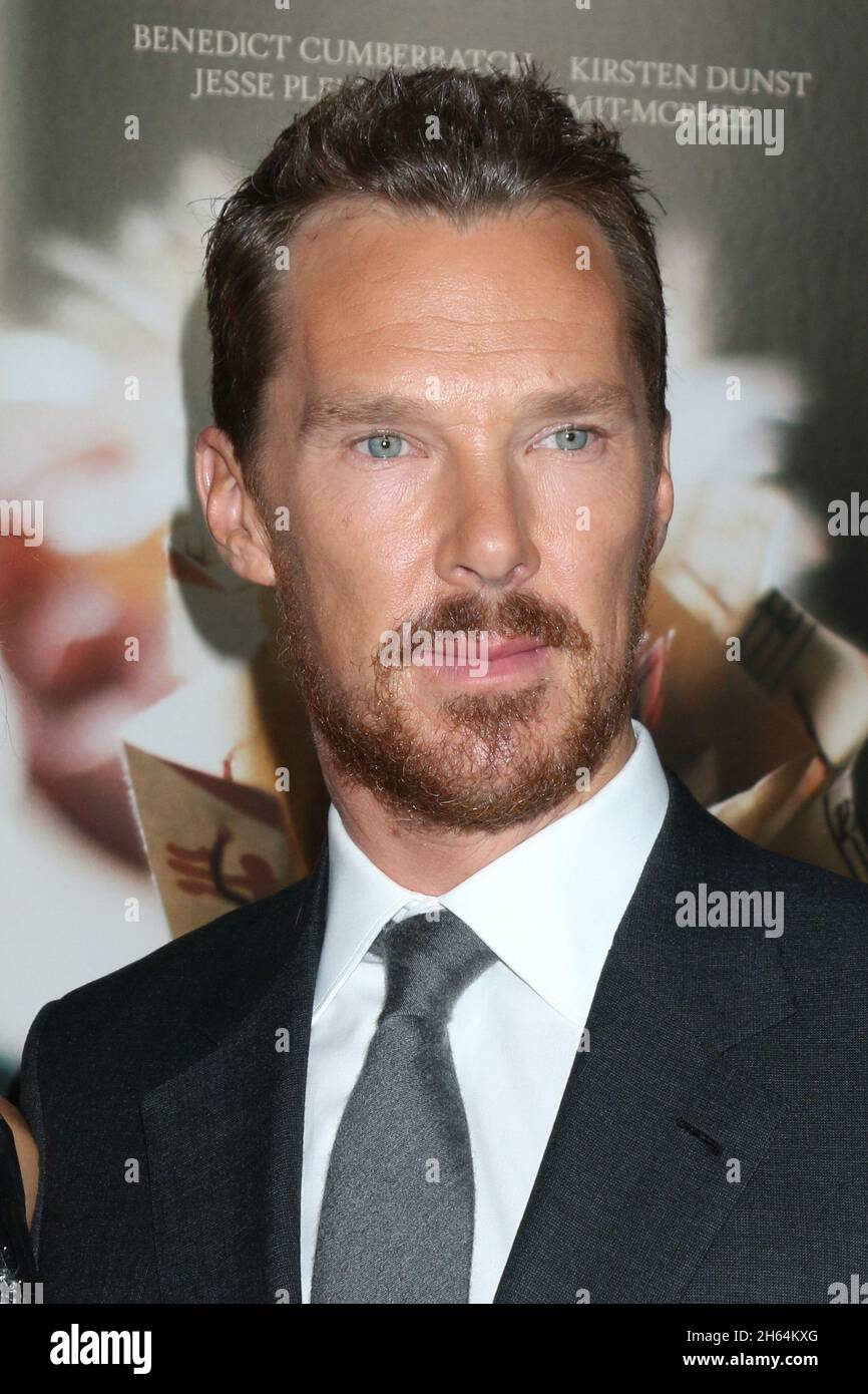 November 11, 2021, Los Angeles, CA, USA: LOS ANGELES - NOV 11:  Benedict Cumberbatch at the AFI Fest - The Power of The Dog LA Premiere at TCL Chinese Theater IMAX on November 11, 2021 in Los Angeles, CA (Credit Image: © Kay Blake/ZUMA Press Wire) Stock Photo